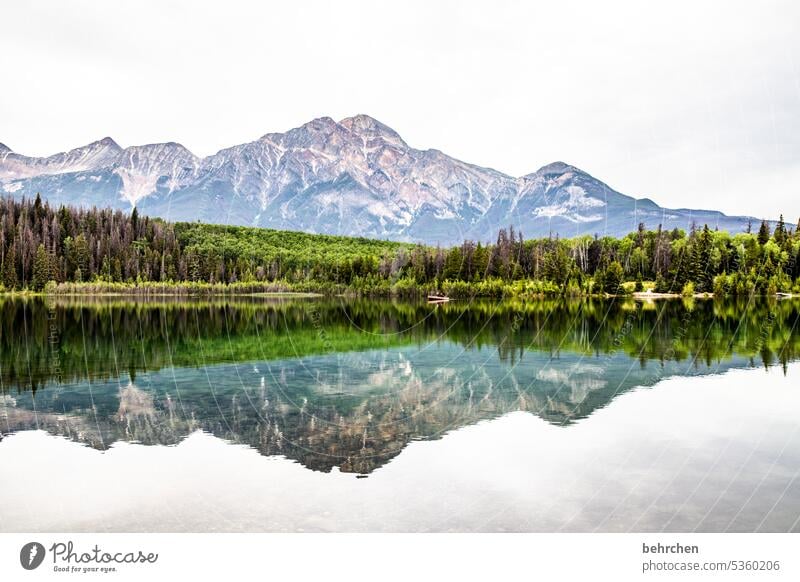 spiegelei Alberta Wolken Abenteuer Freiheit Jasper National Park See Kanada Berge u. Gebirge Wald Landschaft Bäume Außenaufnahme Natur Rocky Mountains