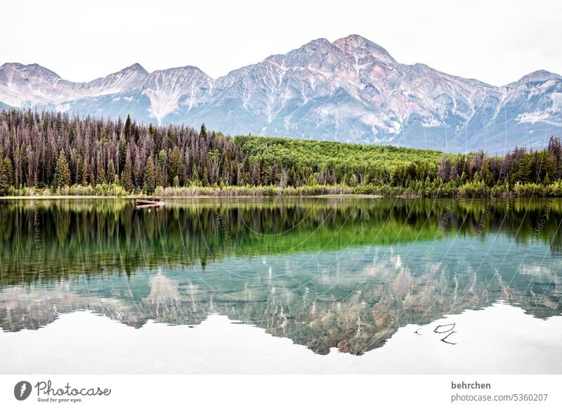 doppeldeutig Bergsee Reflexion & Spiegelung weite Ferne Fernweh besonders fantastisch Menschenleer Tourismus Ferien & Urlaub & Reisen Farbfoto Nordamerika