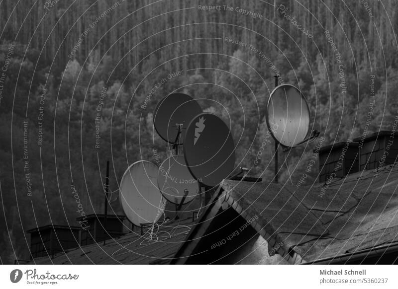 Hausdach mit vielen Satellitenschüsseln hausdachanlage Gebäude Dach alt durcheinander selbstgemacht Stümperhaft Technik & Technologie Empfang Fernsehen Rundfunk