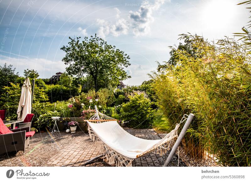 einfach mal abhängen entspannen ausruhen gemütlich Lieblingsplatz Bäume schön Schönes Wetter Außenaufnahme Sommer Blume Sonnenlicht Wärme sommerlich wunderschön