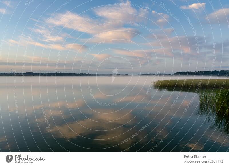 See mit Wolken Wasser Himmel Reflexion & Spiegelung Natur ruhig blau Wasseroberfläche friedlich Erholung Schönes Wetter Ruhe Umwelt Farbfoto Sonnenlicht grün