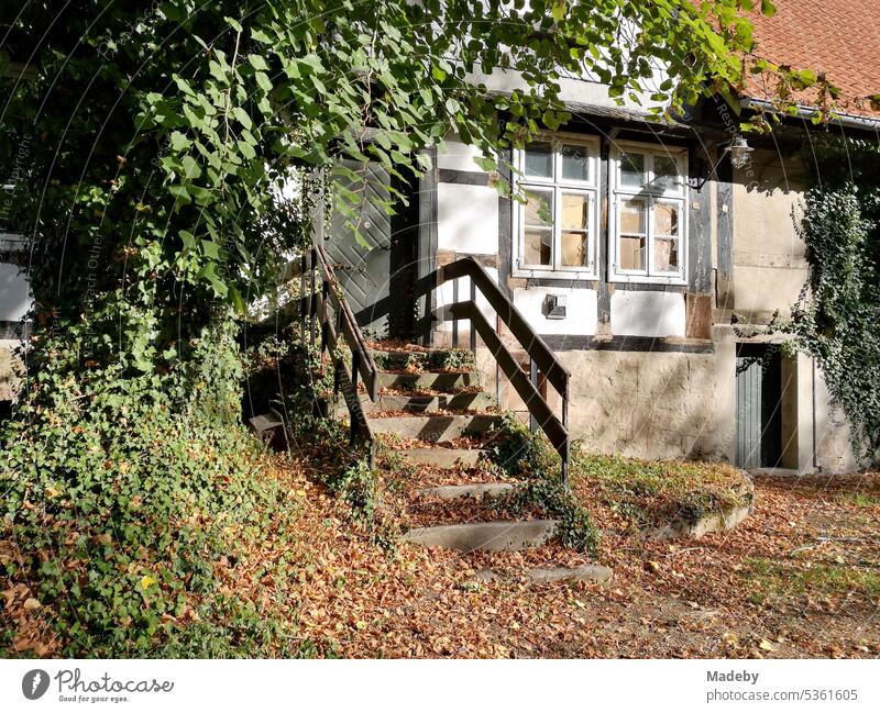 Schönes altes Fachwerkhaus im Grünen im Sommer vor blauem Himmel bei Sonnenschein im Grünen bei Schloß Brake in der Alten Hansestadt Lemgo bei Detmold in Ostwestfalen-Lippe