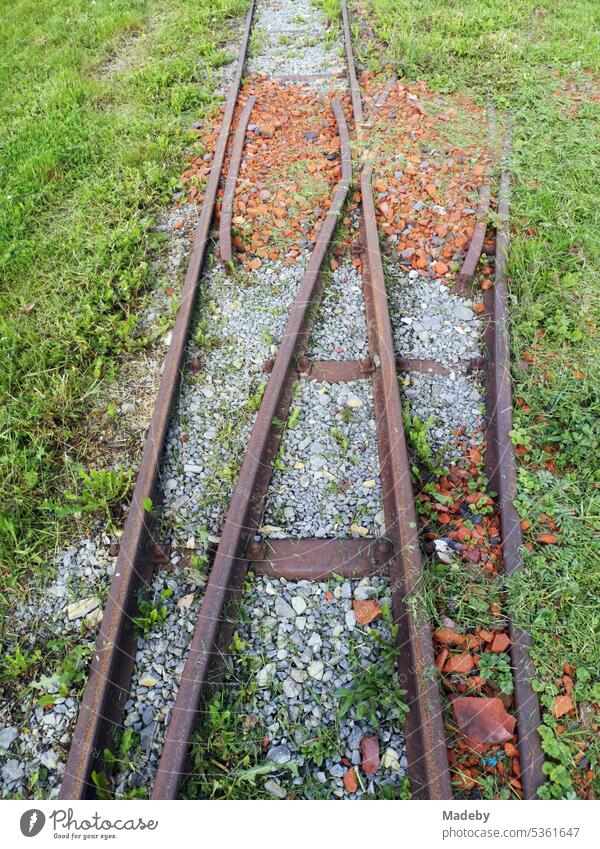 Rostige Gleise einer alten Schmalspurbahn durch das grüne Gras im Sommer bei Sonnenschein in der Alten Ziegelei in Lage bei Detmold in Ostwestfalen-Lippe Arbeit