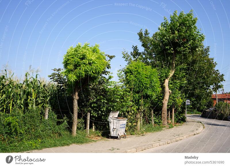 Offene Mülltonne auf dem Bürgersteig am Straßenrand vor einem Maisfeld mit blauem Himmel und Sonnenschein in Adapazari in der Provinz Sakarya in der Türkei