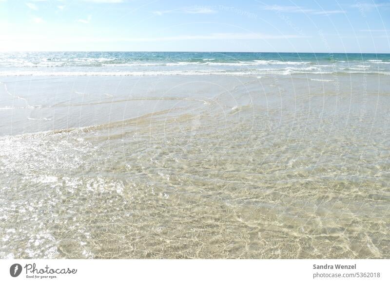 Traumstrand auf Fuerteventura Wasser Meerwasser Strand Atlantik Urlaub Kanaren Sandstrand klares Wasser