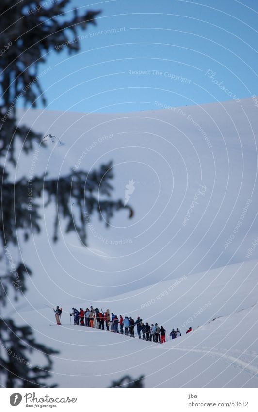 skitour Skifahren weiß Neuschnee Tanne tourenfahren türele Mensch Leiter Wege & Pfade powder Schnee Sonne blau Himmel Ast Ferien & Urlaub & Reisen Warteschlange