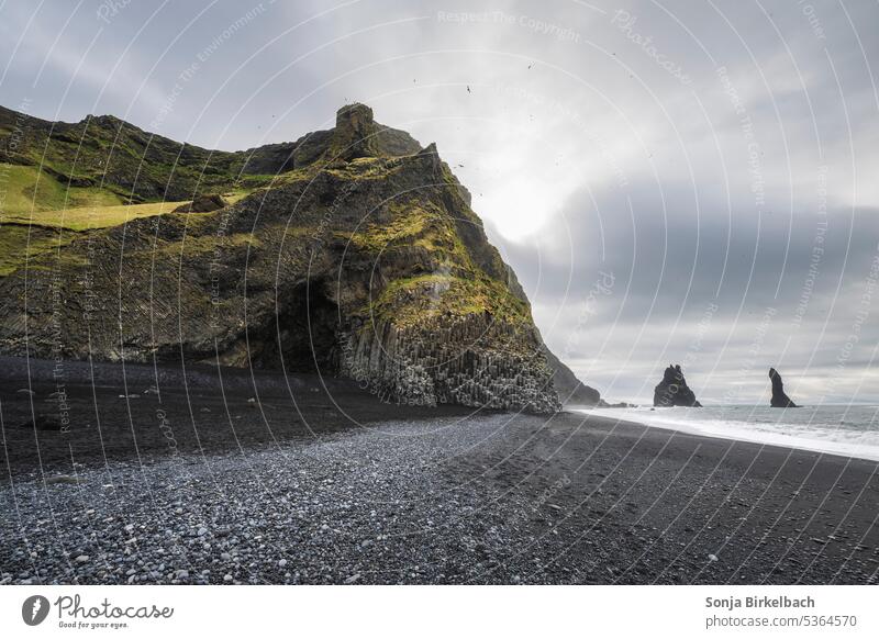 Reynisfjara Strand - keine Wellen an diesem Tag reaynisdrangar Basalt Felsen Formation Lava Südisland reisen Anziehungskraft Meer Sand Vögel Möwen