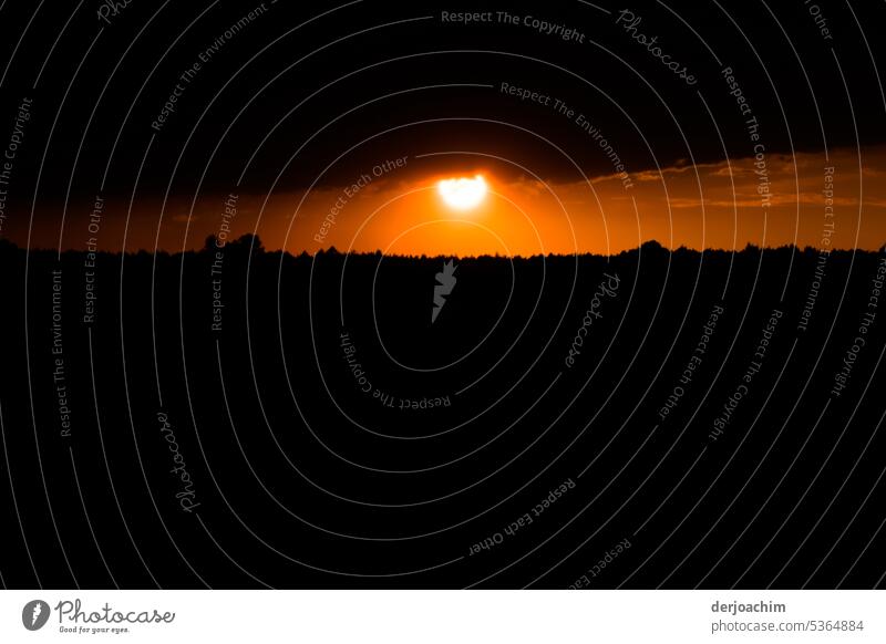 Dauerbrenner / Die letzte Strahlen der Abendsonne erleuchten das Land. abendsonne. Schatten Licht Sonnenuntergang Natur Abenddämmerung Silhouette Abendstimmung