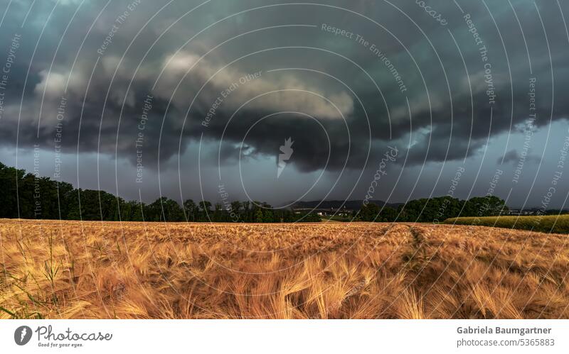 Superzelle bringt Hagel, Zerstörung und Orkan Gewitterwolken Natur Klima Unwetter Sturm bedrohlich Außenaufnahme Landschaft schlechtes Wetter Regen Wind