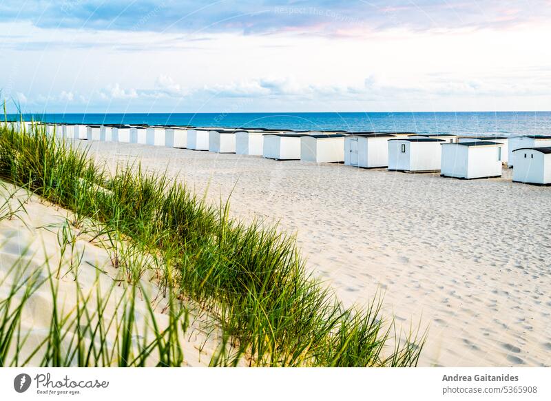 Blick auf die Badehäuser von Løkken und die Nordsee von der Düne aus, Düne und Strandhafer im Vordergrund, horizontal Badehaus Badehäuschen Dänemark Dänisch