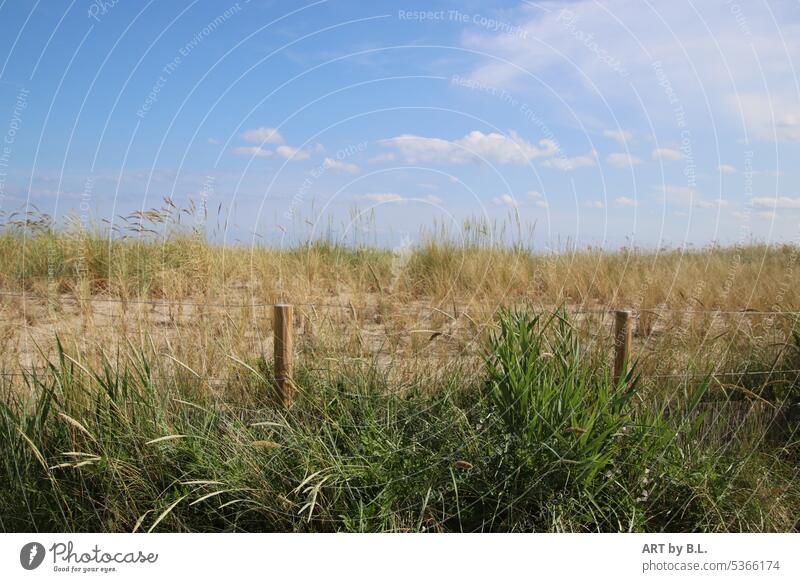 Ostsee Düne mit Drahtzaun düne pflanzen gräser naturschutz wolken himmel holzpfähle draht drahtzaun gras dünengras ostseedüne urlaub landschaft gegend