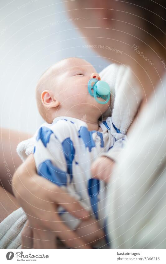 Eine junge Mutter hält ihren kleinen Jungen im Arm. Baby Kindheit Familie heimwärts wenig niedlich Beteiligung weiß Kaukasier Liebe Eltern Mama Glück