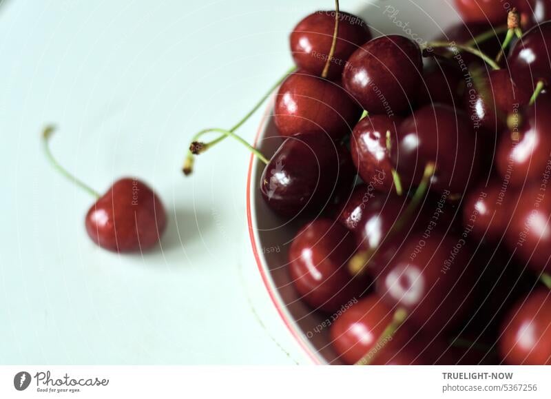 Blick von oben, eine Schale mit roten Kirschen auf weißem Grund frisch reif weiss halb Stängel grün Obst Sommer Früchte Freude saftig lecker süss Vitamine