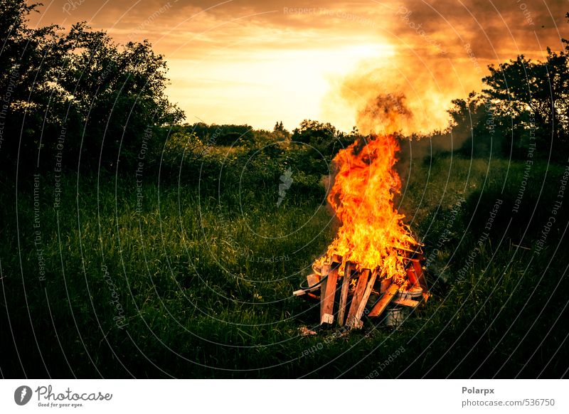 Lagerfeuer Tourismus Camping Sommer Natur Landschaft Himmel Wärme Baum Gras Wald dunkel heiß wild gelb rot schwarz Zigarettenasche Brand Freudenfeuer Brandwunde