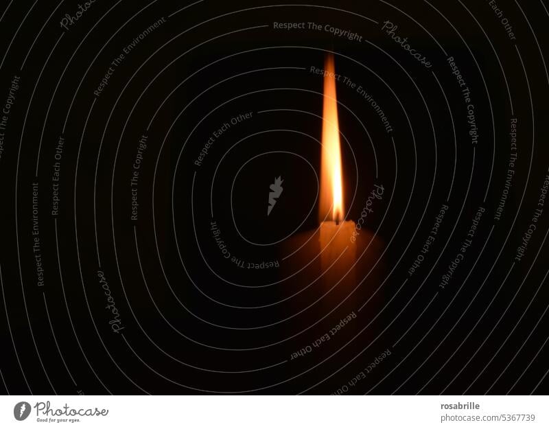 Dauerbrenner | Kerze im Dunkeln Kerzenflamme Schein Flamme Dunkelheit Kerzenschein Licht brennen Weihnachten & Advent leuchten Stimmung besinnlich Wärme