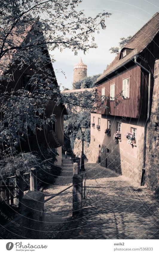 Steile Gasse Himmel Frühling Baum Blatt Zweige u. Äste Bautzen Deutschland Lausitz Kleinstadt Stadtzentrum Altstadt bevölkert Haus Turm Alte Wasserkunst Mauer