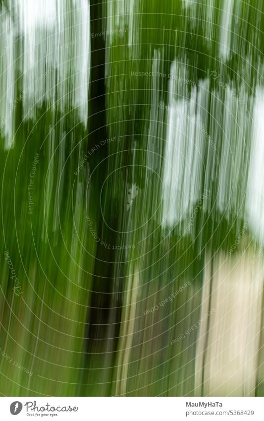 bewusste Kamerabewegung Bewegung Farbfoto Außenaufnahme Zentralperspektive Licht Bewegungsunschärfe abstrakt mehrfarbig Lichterscheinung Unschärfe