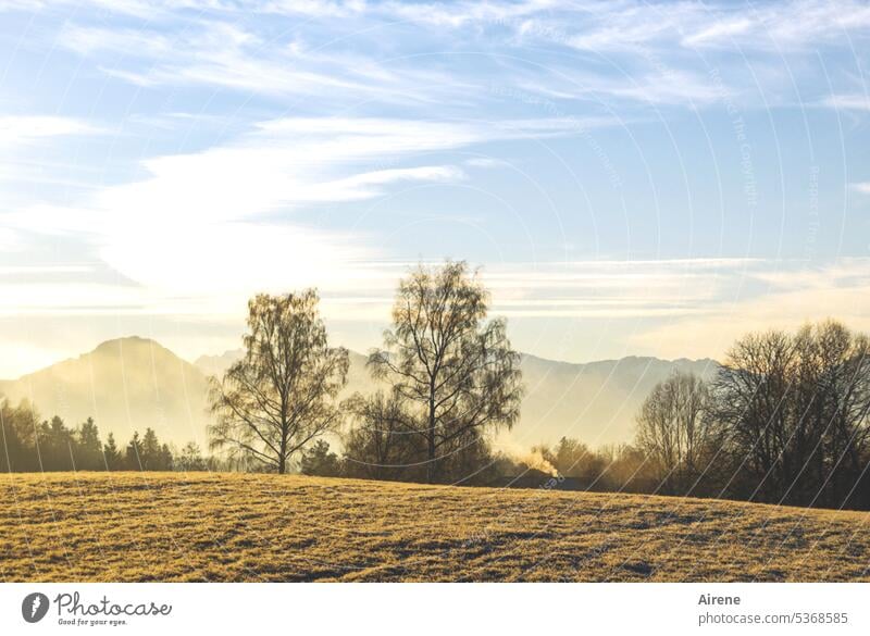 frostiger Morgen Bäume Wiesen und Felder Winter Berge Himmel Wolken Nebel Frost Tag Morgentau Raureif Reif kalt Natur Landschaft gefroren Winterstimmung frieren