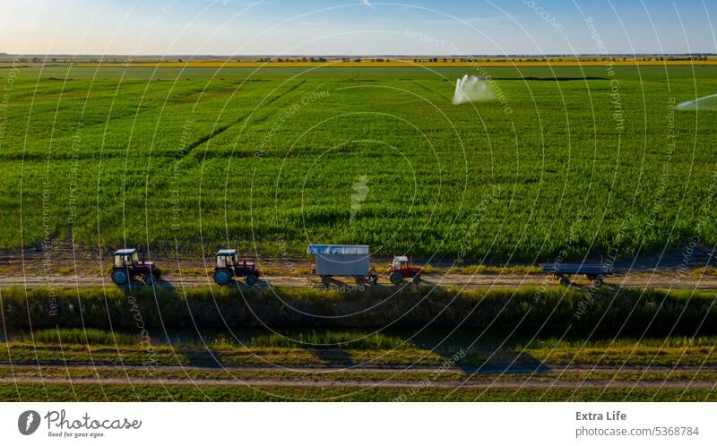 Luftaufnahme einer landwirtschaftlichen Hochdruck-Wasserberieselungsanlage, die Wasserstrahlen zur Bewässerung von Maiskulturen aussendet oben Antenne Ackerbau