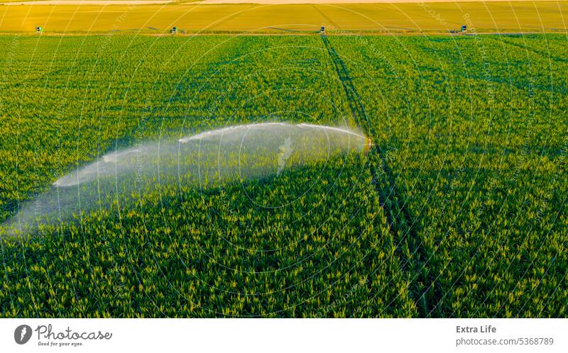 Luftaufnahme einer landwirtschaftlichen Hochdruck-Wasserberieselungsanlage, die Wasserstrahlen zur Bewässerung von Maiskulturen aussendet oben Antenne Ackerbau