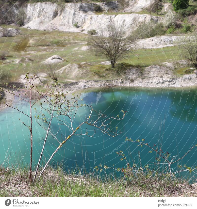 blauer Kalksee See Kalksteinbruch Wasser Baum Strauch kahl Seeufer Gras Steinbruch Naturschutzgebiet Abgrabungssee Steinbruchkanten Kreidezeit Biotop