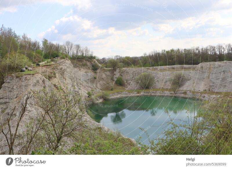 blauer Kalksee mit Spiegelungen, ehemaliger Kalksteinbruch See Wasser Landschaft Natur Seeufer Steinbruch Naturschutzgebiet Baum Strauch Himmel Wolken Frühling