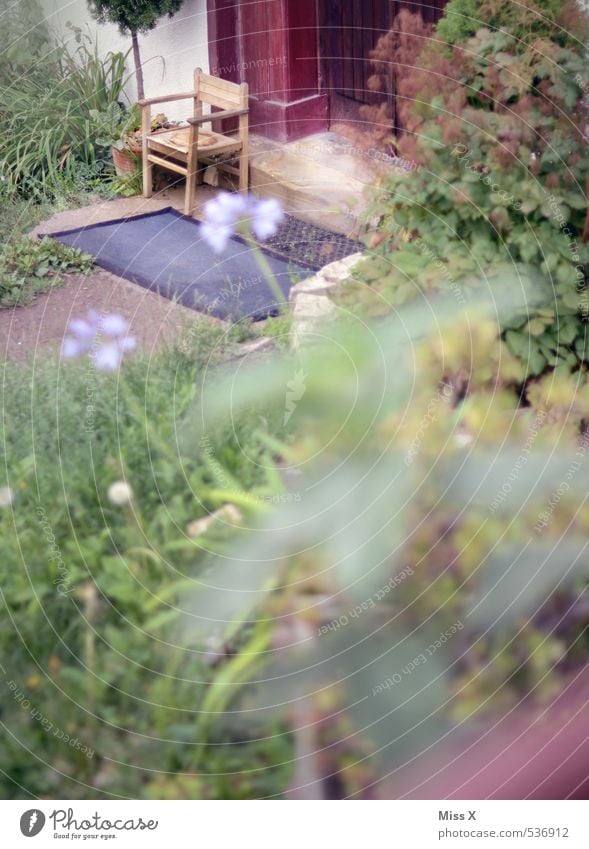 Ruhestand Häusliches Leben Wohnung Garten Möbel Stuhl Frühling Sommer Herbst Pflanze Blume Sträucher Terrasse Tür alt Idylle Pause ruhig Hochstuhl Farbfoto