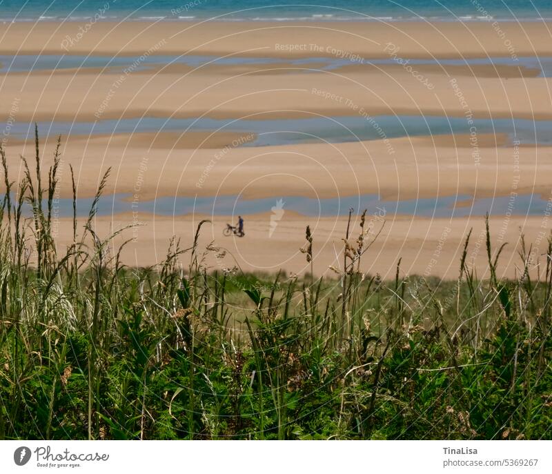 Bei Ebbe am Strand Meer Wasser Gezeiten ebbe und flut Sand Horizont Sommer Streifen Muster Ferien & Urlaub & Reisen Außenaufnahme Farbfoto Menschenleer Gräser