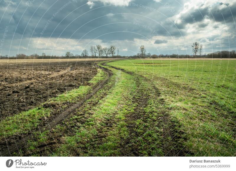 Ländliche Straße zwischen einer Wiese und einem gepflügten Feld, Blick auf einen bewölkten Frühlingstag ländlich wolkig Himmel Land blau Cloud Gras Natur