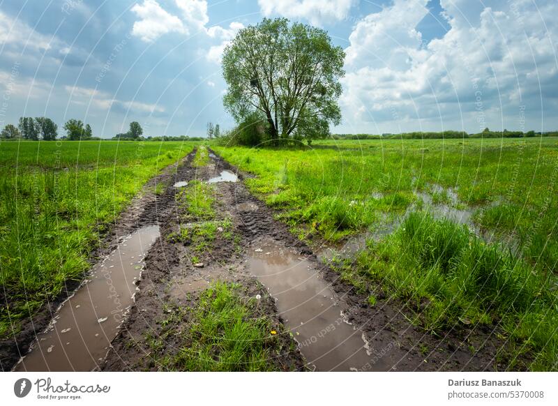 Wasser nach Regen auf Feldweg und grüner Wiese Straße Gras Pfütze Schmutz Natur Schlamm ländlich Himmel Landschaft nass Wetter Weg schlammig Horizont Boden blau