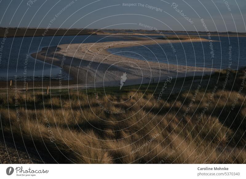 Früher Morgen am Deich Morgensonne Licht Sommer Ebbe und Flut Sylt Landschaft Natur natürlich Freude Glück Luft reine Luft Glückseligkeit Meer Küste Strand