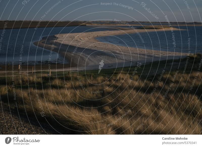 Frühes Morgenlicht am Deich Natur Sylt Nordsee Meer Strand Sand Ferien & Urlaub & Reisen Menschenleer Sommer Außenaufnahme Himmel Schönes Wetter Küste Farbfoto