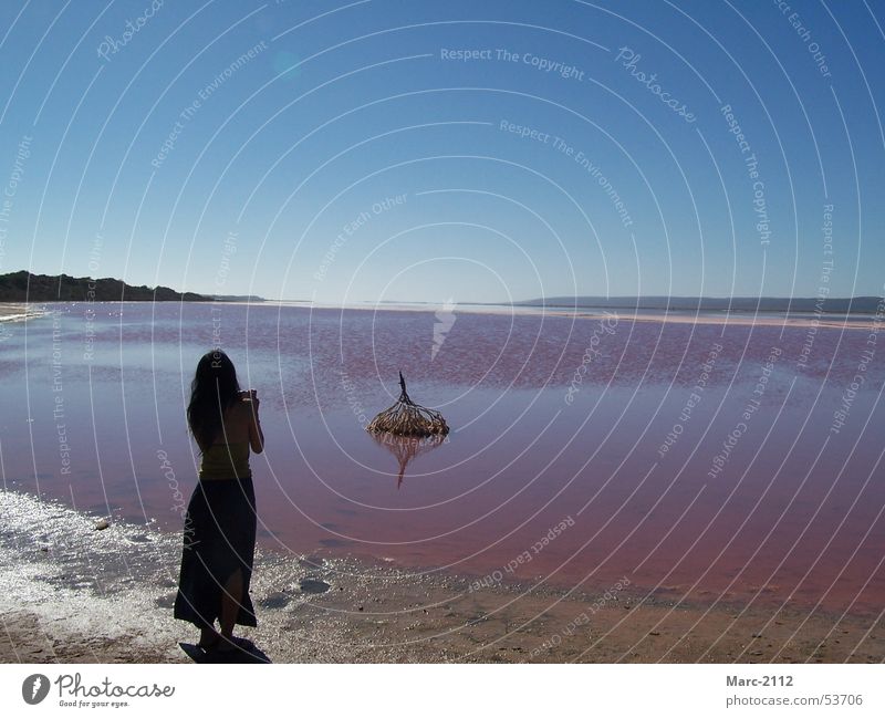 Pink Lake Australien See rosa Meer Himmel lake sea sky Wasser water ocean salt Salz