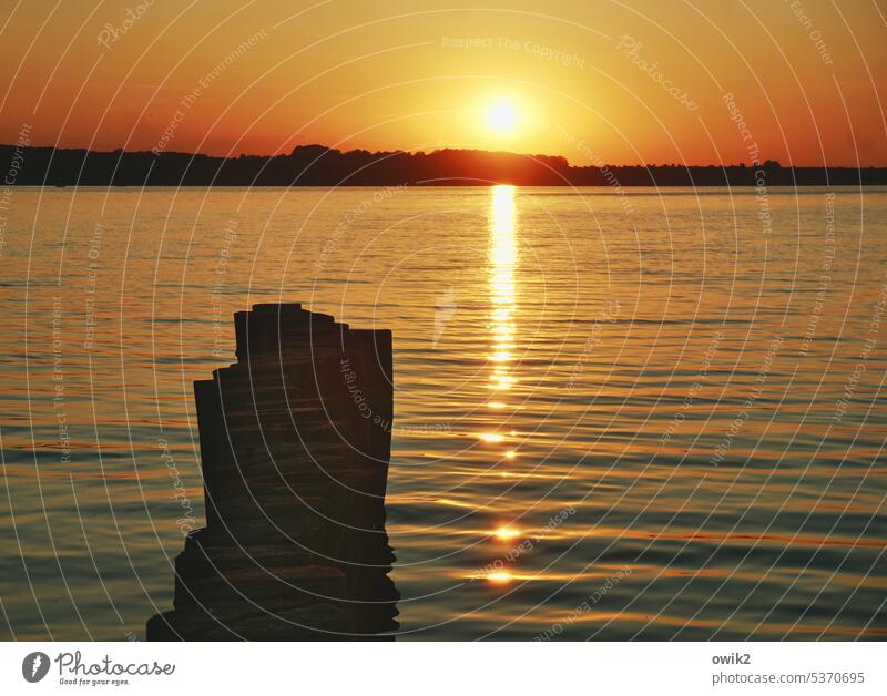 Schmachtblick See Abend Sonnenuntergang Himmel Wolkenloser Himmel Wasser Außenaufnahme Landschaft Dämmerung Schönes Wetter Sonnenlicht Seeufer Sonnenaufgang