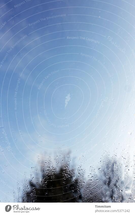 Erfrischender Regen Regentropfen Fensterscheibe Glas Beschlagen Himmel blau Wolken Bäume Wassertropfen Wetter Menschenleer