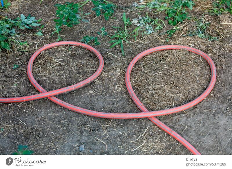 Wasserschlauch geschlungen in brezelform verschlungen Gartenschlauch Boden Vogelperspektive Schlauch Bewässerung Form Gartenarbeit Erde