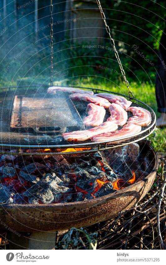 Fleisch  grillen über offenem Feuer Grillen Grillrost Grillsaison Feuerschale Ernährung Glut Rauch Sommer lecker heiß Garten Steak Bratwurst Grillplatz