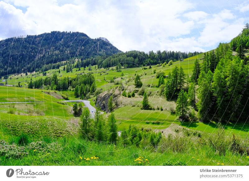 Gebirgslandschaft Berge u. Gebirge grün Alpen Natur Landschaft Außenaufnahme Menschenleer Umwelt Nauders Tirol Hang Berghang Ferien & Urlaub & Reisen Straße