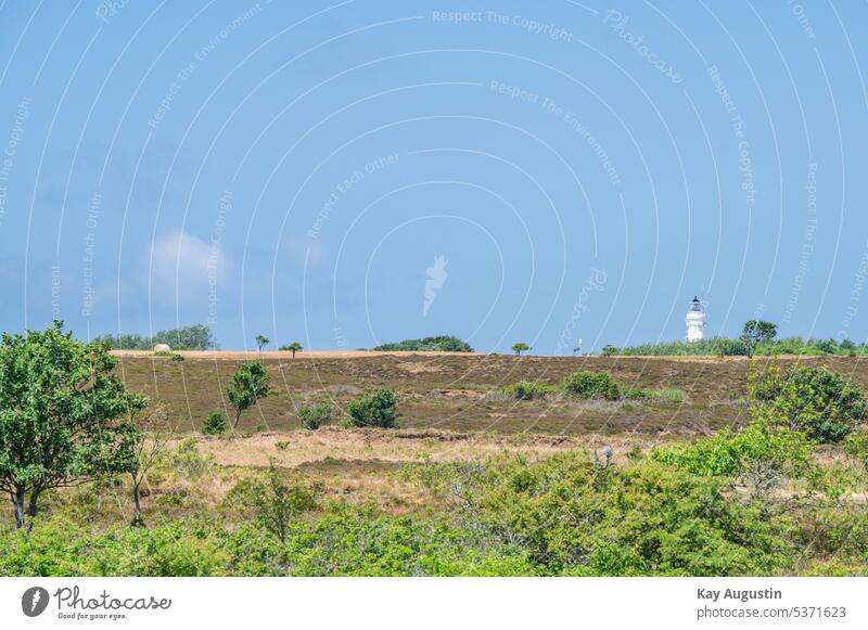 Braderuper Heide und Kampener Leuchtturm Küste Menschenleer Außenaufnahme Wolken Leuchtturm Kampen Leuchtturm "Langer Christian" Leuchtturm Fotografie