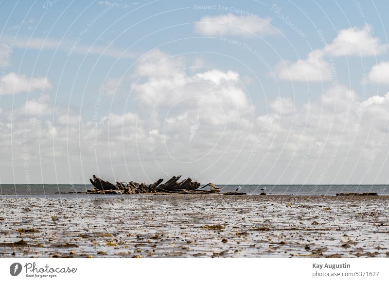 Wrack Mariann vor dem Strand Braderup Schiffswrack vor dem Strand Braderup Schiffswrack Mariann Ebbe Gezeiten Nationalpark Wattenmeer Schiffsplanken