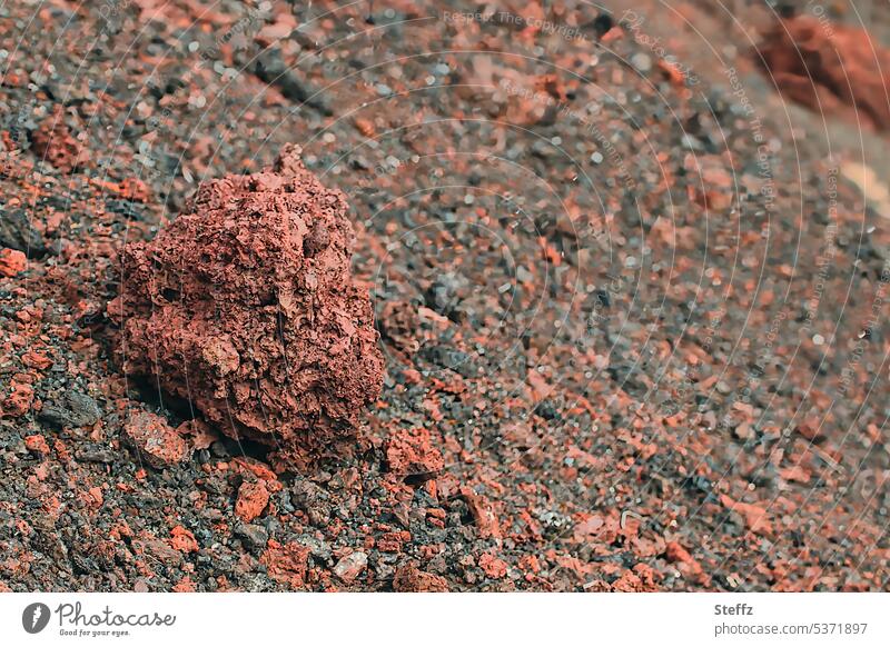 Lavastein auf einem Lavahügel bei dem Vulkansystem Krafla auf Island vulkanisch Lavastück Lavagestein isländisch Lavafeld Lavastrukturen Steine steinig