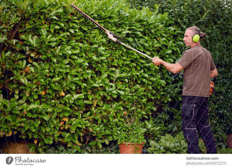 Gärtner beim Schneiden einer Hecke mit einer Heckenschere im Garten eines Kunden, der zum Schutz einen Gehörschutz trägt Kunsthandwerker digital außerhalb