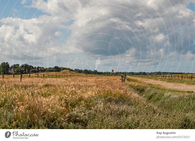 Feldweg entlang nach Keitum Weidelandschaft Kirche Keitum Insel Sylt Tipkenhoog Geschichte Nordsee Sylt Keitum Megalithgrab Harhoog Nordseeinsel Wildwiesen