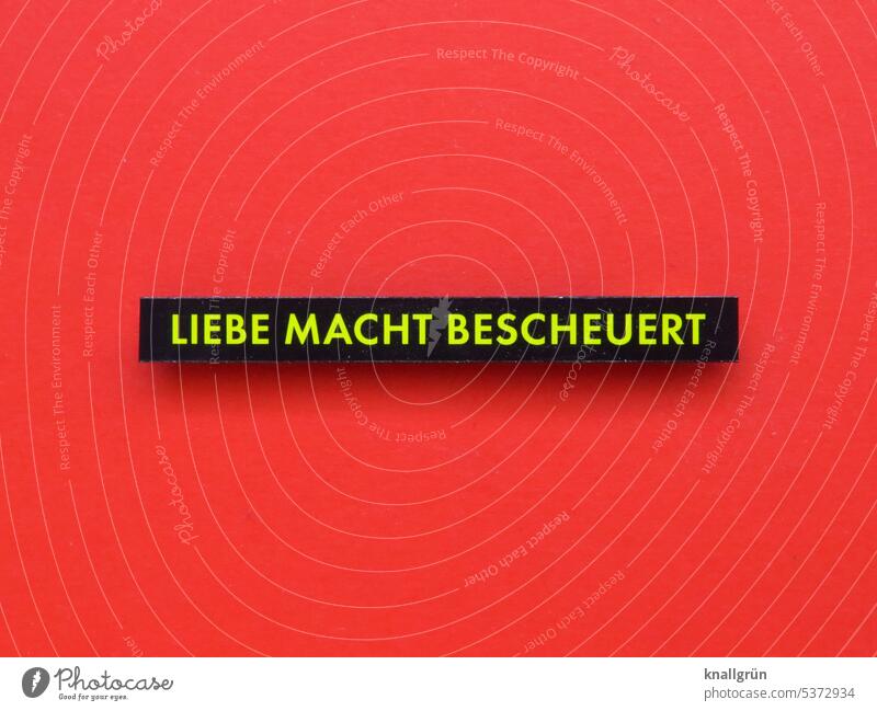 Liebe macht bescheuert Gefühle verrückt Lebensfreude Sympathie Glück Verliebtheit Romantik Zusammensein Partnerschaft Freundschaft Symbole & Metaphern