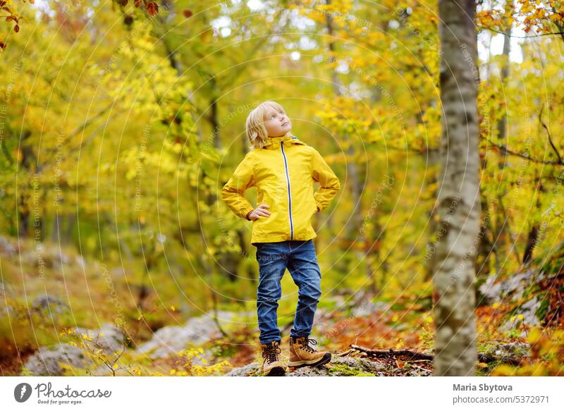 Grundschuljunge geht an einem Herbsttag im Lovcen-Nationalpark in Montenegro spazieren. Ein neugieriger Junge erkundet die Natur. Tourismus und Reisen für Familien mit Kindern.