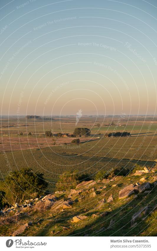 Sonnenuntergang an einem sonnigen Tag auf dem Lande in Uruguay. Aberdeen Antenne Ackerbau angus Tier Tiere Argentinien Hintergrund Rindfleisch schwarz bovin