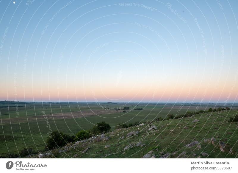 Sonnenuntergang an einem sonnigen Tag auf dem Lande in Uruguay. Aberdeen Antenne Ackerbau angus Tier Tiere Argentinien Hintergrund Rindfleisch schwarz bovin