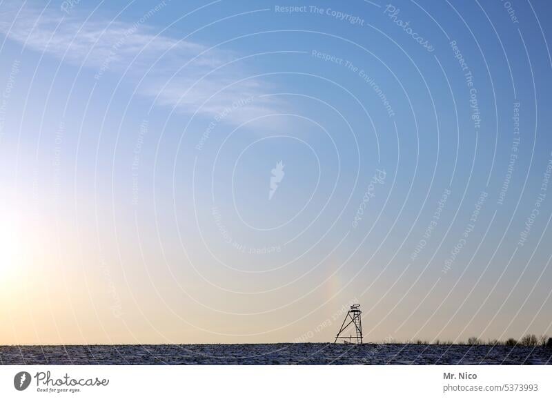 alles im blick Landschaft Natur Umwelt Jagd Hochsitz Einsamkeit Jagdrevier Überblick beobachten Feld hochstand waidmannsheil Aussicht Pirsch Landwirtschaft