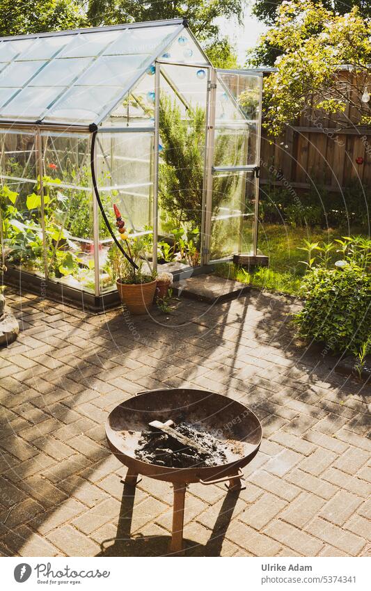 Mein Garten | Gewächshaus und Feuerschale Rosmarin Umwelt gärtnern Lichterkette lampions Freizeit & Hobby ökologisch Gesundheit Beet grün natürlich Nutzpflanze