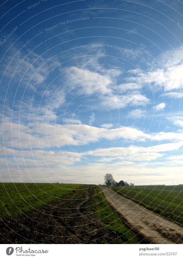 Winterspaziergang Sonntag kalt Feld Landschaft Himmel blau Spaziergang Ferne